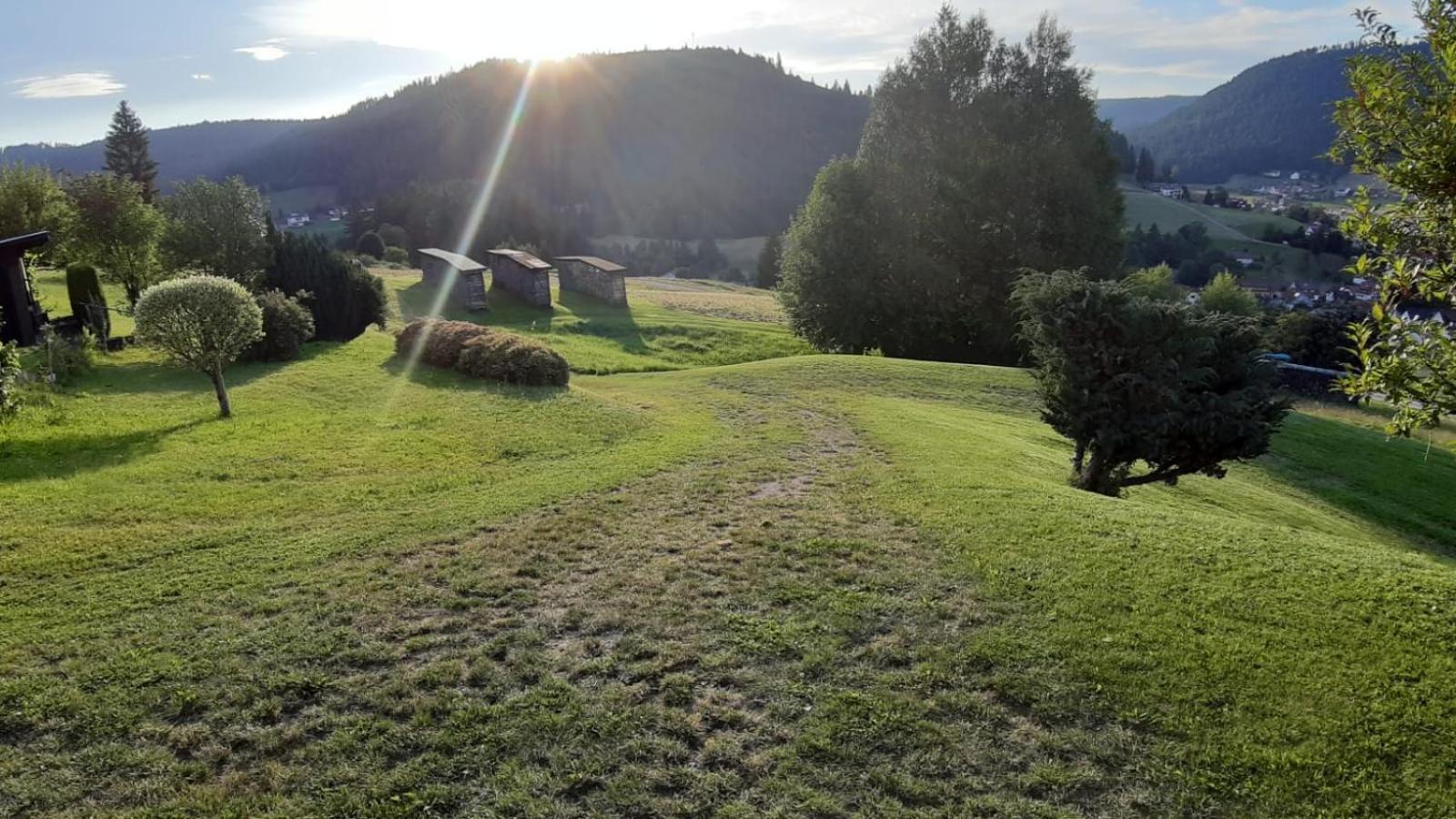 Ferienhaus Seefried Baiersbronn Kültér fotó