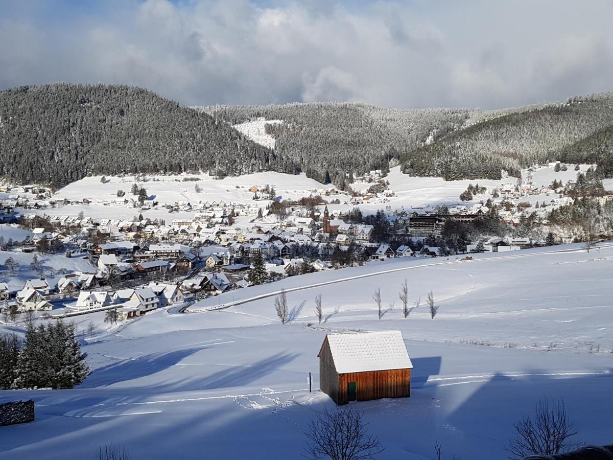 Ferienhaus Seefried Baiersbronn Kültér fotó